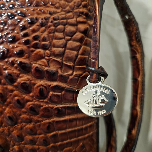 Brahmin - Picture 7 of 9